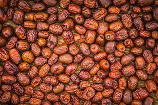 滄州現在是幾線城市,發展得如何