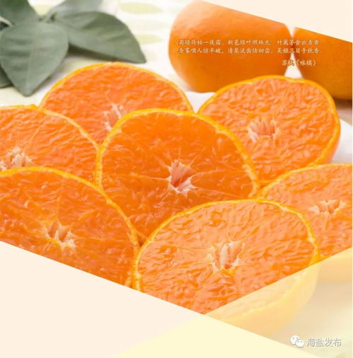 無(wú)標(biāo)題