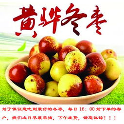 海興郵政 滄州黃驊冬棗3斤包郵 皮薄肉脆 甘甜清香 京津冀拍下多送2斤圖片大全 郵樂官方網站